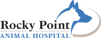 Rocky Point Veterinarians | Rocky Point Animal Hospital